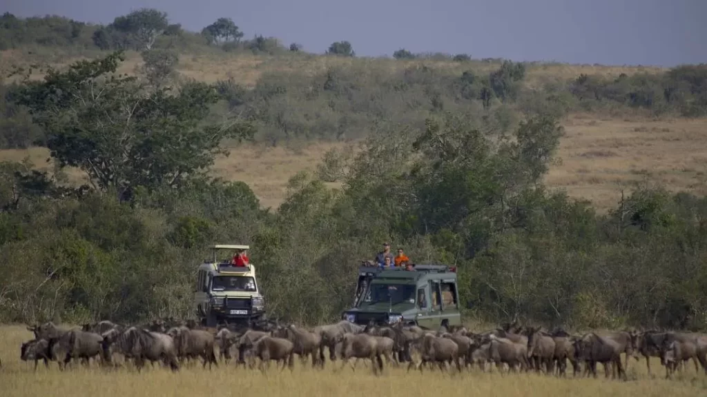African Luxury Safari